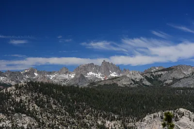 DSC_9961 (Large).JPG